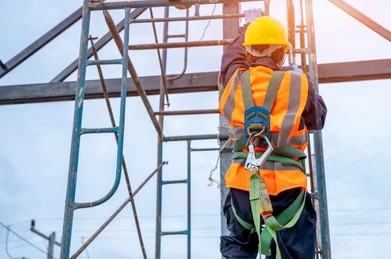 Fall Protection Harnesses